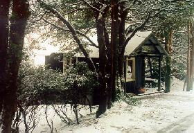 Waldheim Cabins - Accommodation Mt Buller 0