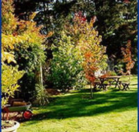 Peartree Cottage Leura - Accommodation Mt Buller