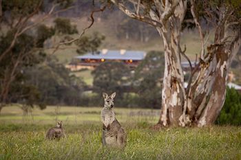 Emirates One&Only Wolgan Valley Australia - Accommodation Mt Buller 8