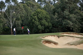 Chateau Elan - Accommodation Mt Buller 15