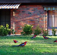 Crimson Villa - Accommodation Mt Buller