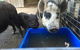 Blackwattle Farm B&B And Farm Stay - thumb 14