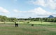 Blackwattle Farm B&B And Farm Stay - thumb 43