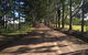 Blackwattle Farm B&B And Farm Stay - thumb 46