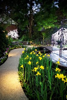 Elizabethan Lodge - Accommodation Mt Buller 2