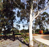 Box Hill Studios at Canterbury Gardens - Accommodation Mt Buller