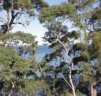 The Edgewater Bed amp Breakfast - Accommodation Mt Buller
