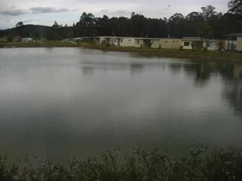 Australian Motor Homes Tourist Park - Accommodation Mt Buller 3