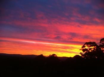 Rothbury Escape - Accommodation Mt Buller 11