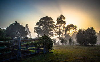 Elfin Hill Country Accommodation - Accommodation Mt Buller 10