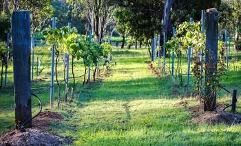 Elfin Hill Country Accommodation - Accommodation Mt Buller 14