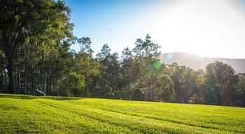 Elfin Hill Country Accommodation - Accommodation Mt Buller 18