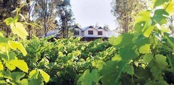 Spicers Vineyards Estate - Accommodation Mt Buller 3