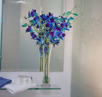 Grand Hotel Wyong - Accommodation Mt Buller