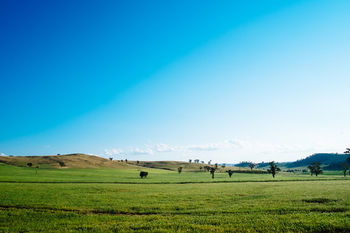 Kimo Estate - Accommodation Mt Buller 17