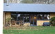 The Kitchen Cottage - thumb 9
