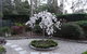Corner Manor Leura - thumb 0