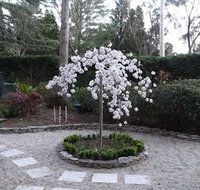 Corner Manor Leura - Accommodation Mt Buller