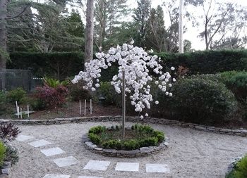 Corner Manor Leura - Accommodation Mt Buller 0