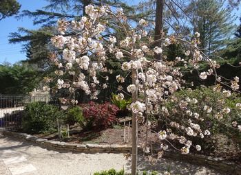 Corner Manor Leura - Accommodation Mt Buller 2