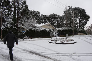 Corner Manor Leura - Accommodation Mt Buller 3