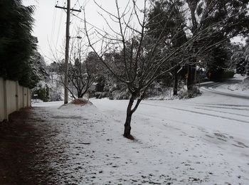 Corner Manor Leura - Accommodation Mt Buller 16