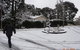 Corner Manor Leura - thumb 20