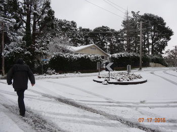 Corner Manor Leura - Accommodation Mt Buller 20