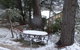 Corner Manor Leura - thumb 22