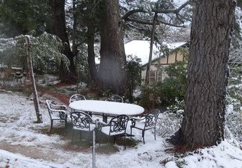 Corner Manor Leura - Accommodation Mt Buller 22