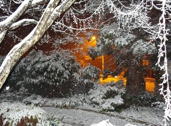 Corner Manor Leura - Accommodation Mt Buller 36