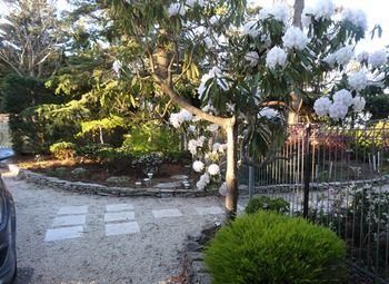 Corner Manor Leura - Accommodation Mt Buller 40