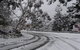 Corner Manor Leura - thumb 42