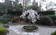 Corner Manor Leura - thumb 47