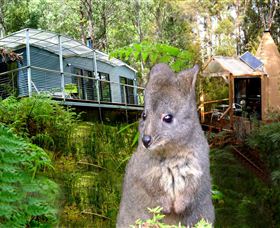 Huon Bush Retreats - Accommodation Mt Buller 0