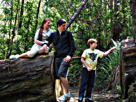 Tahune Airwalk Lodge - Accommodation Mt Buller 0