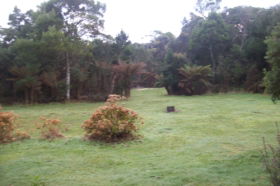 Macquarie Heads Camping Ground - Accommodation Mt Buller 1