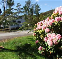 Zeehan Bush Camp  and Caravan Park - Accommodation Mt Buller