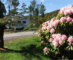 Zeehan Bush Camp  And Caravan Park - Accommodation Mt Buller 0