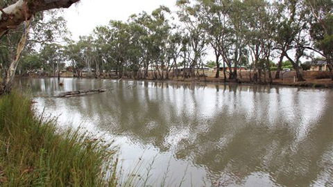 Riverbank Caravan Park - Accommodation Mt Buller 0