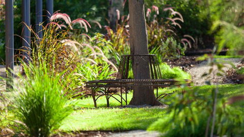 Comfort Inn & Suites Blazing Stump - Accommodation Mt Buller 5