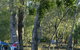 Numurkah Caravan Park - thumb 2