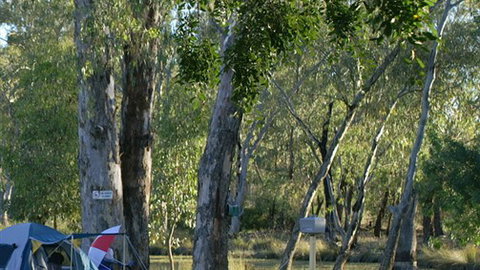 Numurkah Caravan Park - Accommodation Mt Buller 2