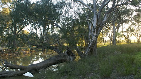 Numurkah Caravan Park - Accommodation Mt Buller 5