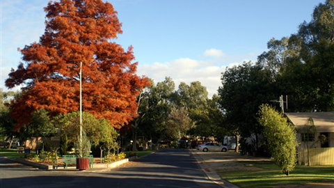 Numurkah Caravan Park - Accommodation Mt Buller 6