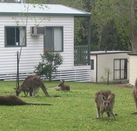 Halls Gap Caravan Park - Accommodation Mt Buller