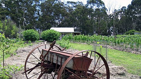Pennyroyal Raspberry Farm & Cidery - Accommodation Mt Buller 2
