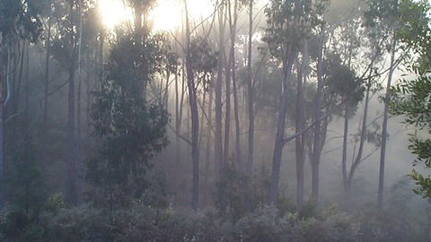 Carinya Park - Accommodation Mt Buller 3