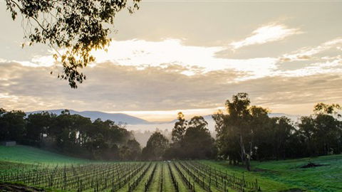 Ainsworth Estate - Accommodation Mt Buller 1