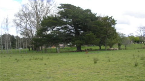 Auberge Woodend - Accommodation Mt Buller 3